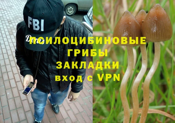 молекула духа Волосово