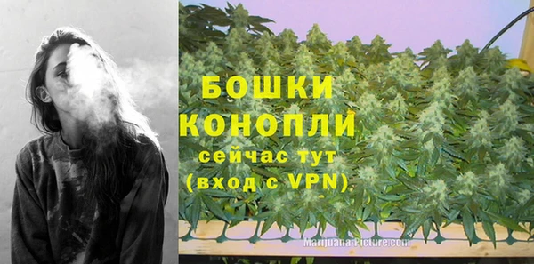 дурь Волоколамск