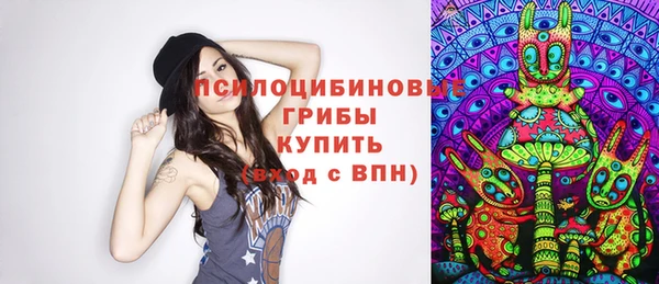 молекула духа Волосово