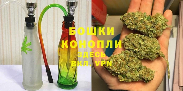молекула духа Волосово