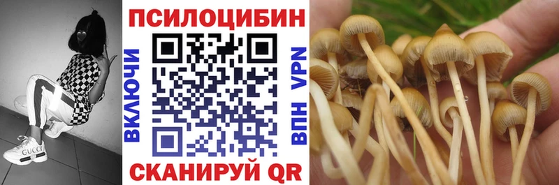 Купить закладки  Партизанск  Галлюциногенные грибы Psilocybe 